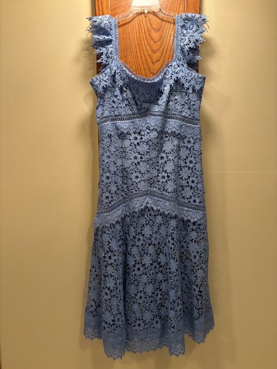 ASOS Dresses & Skirts - ASOS DESIGN Premium Lace Dress with Ruffle Detail in Blue - Size 14